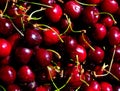 Ripe sweet cherry Royalty Free Stock Photo