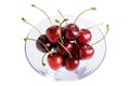 Cherry isolated on a white