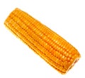 Ripe sweet corn