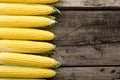 Ripe, sweet, fresh corn on cobs. Top view with copyspace on a brown rustic wooden table Royalty Free Stock Photo