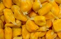 Ripe Sweet Jack Fruit pods Royalty Free Stock Photo