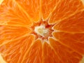 Ripe sweet mandarin on whole background, macro Royalty Free Stock Photo