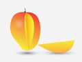 Ripe sweet mango with slice part vector