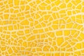 Ripe sweet melon fruit texture background. Close up of a ripe fresh melon fruit pattern texture. Yellow melon texture backdrop. Me Royalty Free Stock Photo