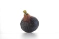 Ripe sweet one fig fruit on white Royalty Free Stock Photo