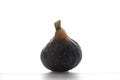 Ripe sweet one fig fruit on white Royalty Free Stock Photo