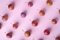 Ripe sweet plum fruits pattern texture, top view, flat lay, pink background Royalty Free Stock Photo