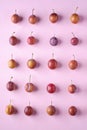 Ripe sweet plum fruits pattern texture, top view, flat lay, pink background Royalty Free Stock Photo