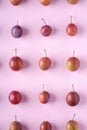 Ripe sweet plum fruits pattern texture, top view, flat lay, pink background Royalty Free Stock Photo