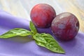 Ripe,sweet plums. Royalty Free Stock Photo