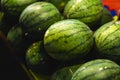 Ripe and sweet watermelons in the market. Close up. A lot of large ripe green striped watermelons. Organic farmer market Royalty Free Stock Photo