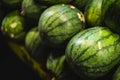 Ripe and sweet watermelons in the market. Close up. A lot of large ripe green striped watermelons. Organic farmer market Royalty Free Stock Photo