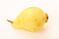 Ripe and sweet Yellow Chinese Pear