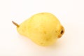 Ripe and sweet Yellow Chinese Pear