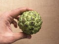 Ripe sweetsop