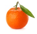 Ripe tangerine with green leaf