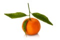 Ripe tangerine with green leaves isolated Royalty Free Stock Photo