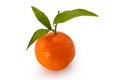 Ripe tangerine with green leaves isolated Royalty Free Stock Photo