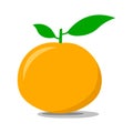 Ripe tangerine on a white background