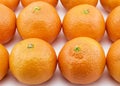 Ripe tangerines arranged in rows