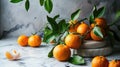 Ripe tangerines on a branch are in a plate