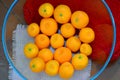 Ripe tangerines lie on the table in a transparent cup, on a red wool background and on a pink napkin. The ripening season of tropi