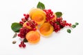 Ripe and tasty apricots with red currants and mint leaves on a white background Royalty Free Stock Photo