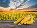Ripe tasty corn on wooden table in the background of cornfield S Royalty Free Stock Photo