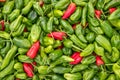 Ripe tasty green and red peppers at baazar