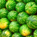 Ripe tasty watermelons for pleasure at the supermarket counter. selective focus