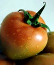 A Ripe tomato on the background. Fresh tomato images Royalty Free Stock Photo