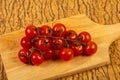 Ripe tomato branch Royalty Free Stock Photo