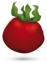 Ripe tomato falling over white background, Vector illustration