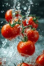 Ripe tomato fruits in water, splashes. Royalty Free Stock Photo