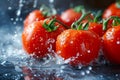 Ripe tomato fruits in water, splashes. Royalty Free Stock Photo