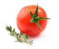 Ripe tomato isolated. Royalty Free Stock Photo