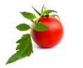 Ripe tomato with leaves