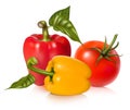 Ripe tomato and peppers.