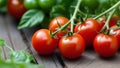 Ripe tomato plant growing in greenhouse. Tasty red heirloom tomatoes. Blurry background and copy space Royalty Free Stock Photo