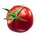 Ripe tomato with sepal, path Royalty Free Stock Photo