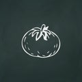 Ripe tomato thin white lines on a textural dark background - Vector