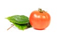 Ripe tomatoe Royalty Free Stock Photo