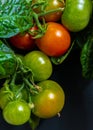 Almost ripe tomatoe hanging from a bush.. Royalty Free Stock Photo