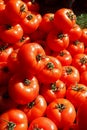 Ripe Tomatoes