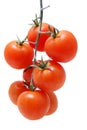 Ripe tomatoes