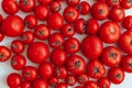 Ripe tomatoes of different size pattern on white background with copy space. Organic vegetables. Royalty Free Stock Photo