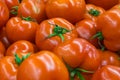 Ripe tomatoes at a farmer`s market, healthy food Royalty Free Stock Photo