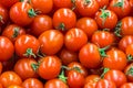 Ripe tomatoes at a farmer`s market, healthy food Royalty Free Stock Photo