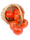Ripe Tomatoes Royalty Free Stock Photo