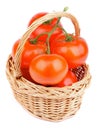 Ripe Tomatoes Royalty Free Stock Photo